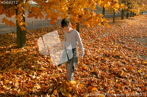 Image of Boy in Autumn Park