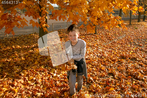 Image of Boy in Autumn Park