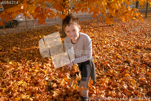 Image of Boy in Autumn Park