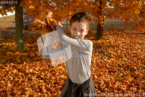 Image of Boy in Autumn Park