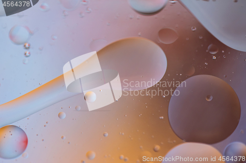 Image of Orange and gray abstract background picture made with oil, water and soap