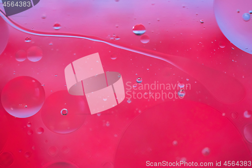 Image of Red abstract background picture made with oil, water and soap