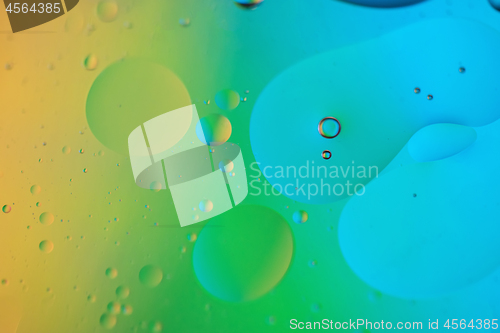 Image of Rainbow abstract defocused background picture made with oil, water and soap