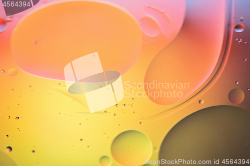 Image of Rainbow abstract defocused background picture made with oil, water and soap