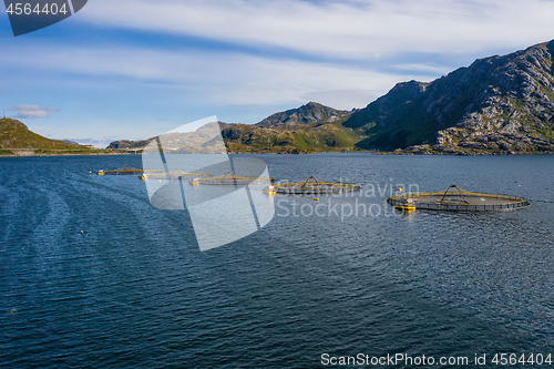 Image of Farm salmon fishing in Norway