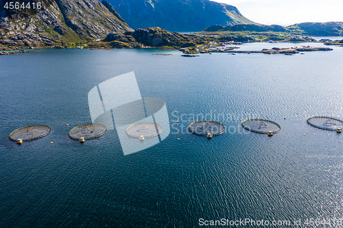 Image of Farm salmon fishing in Norway