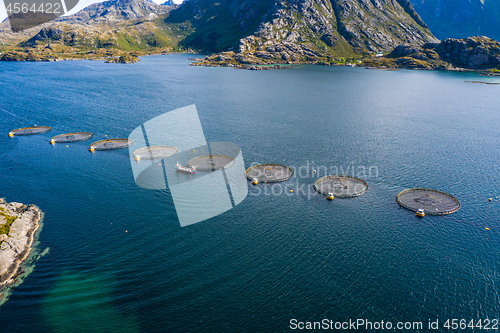 Image of Farm salmon fishing in Norway