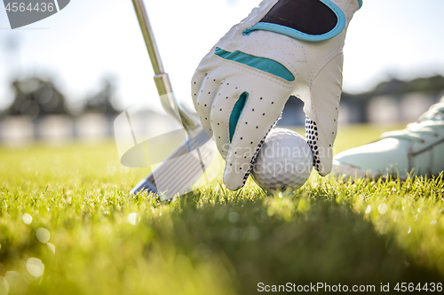 Image of Hand in glove placing golf ball on tee