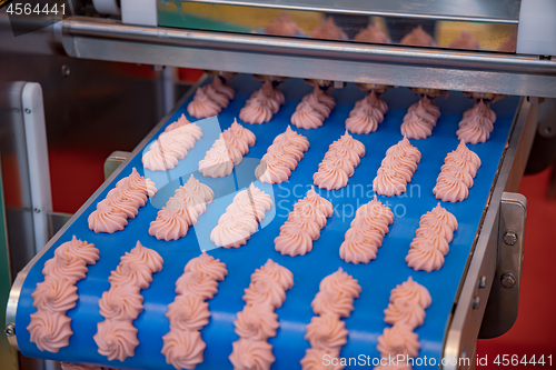 Image of Cakes on automatic conveyor belt , process of baking in confecti