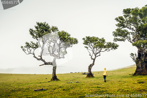 Image of Just me and Nature