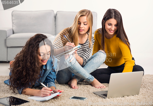 Image of Girls studying at home 