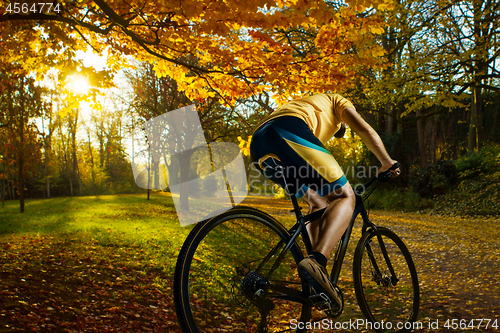 Image of Bike at the summer sunset on the tiled road in the city park. Cycle closeup wheel on summer background.