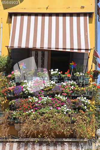 Image of Floral Balcony