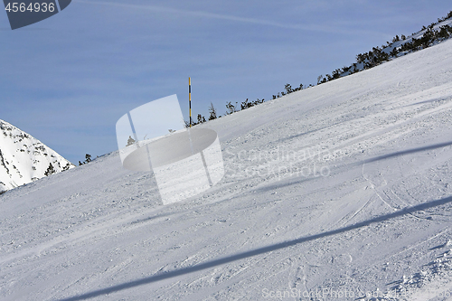 Image of Ski Run