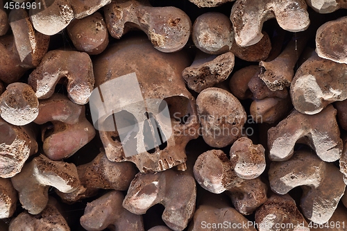 Image of Skulls and bones in a wall