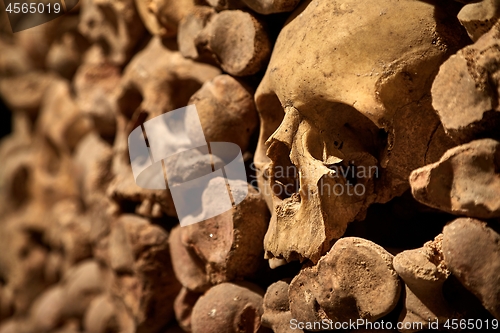 Image of Skulls and bones in a wall