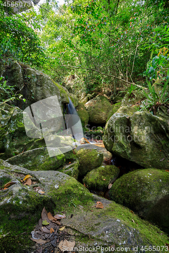 Image of waterfall in Nosy Mangabe, Madagascar wilderness