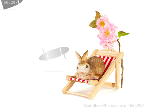 Image of sweet rabbit in a sun chair easter decoration