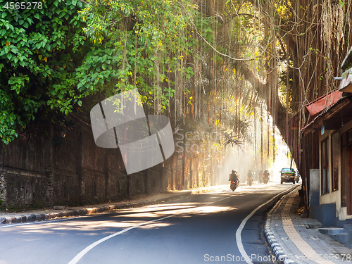 Image of Curving street through Ubud town, Bali, Indonesia