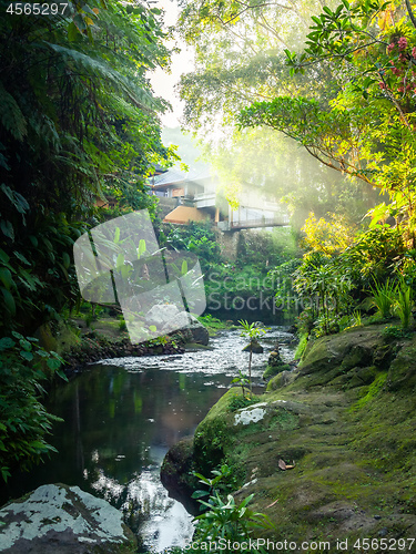 Image of lush green garden with water in Bali Indonesia