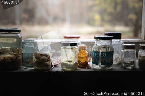 Image of Jars filled with small embrios