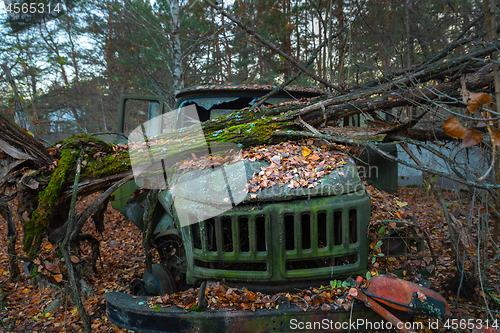 Image of Fallen tree on abandoned truck left outside