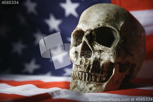 Image of Skull of the reaper closeup photo