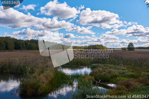 Image of Narew River oxbow in fall