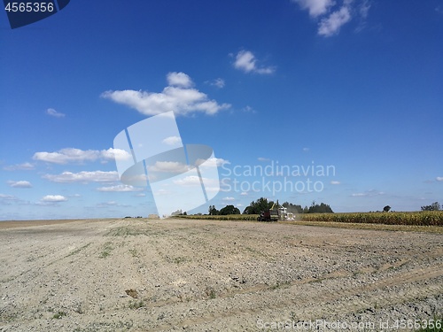 Image of Corn harvesting in fall