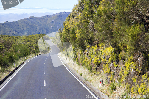 Image of Road in Paul da Serra in Madeira