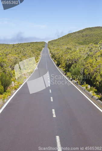 Image of Road on Paul da Serra plateau in Madeira