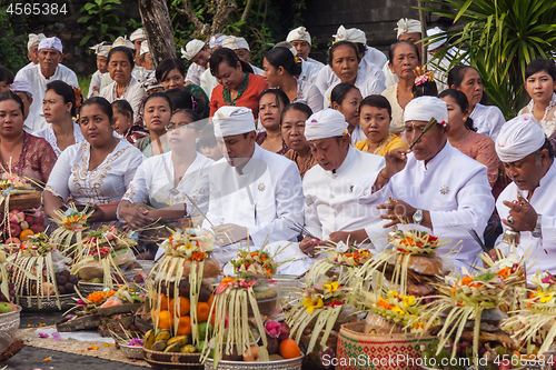 Image of Bali, Indonesia - Feb 2, 2012 - Hari Raya Galungan and Umanis Galungan holiday fesival parade - the days to celebrate the victory of Goodness over evil, on February 2nd 2012 on Bali, Indonesia