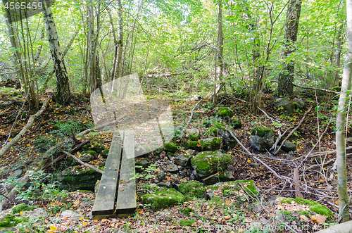 Image of Wooden footbridge by a trail in a deciduous forest