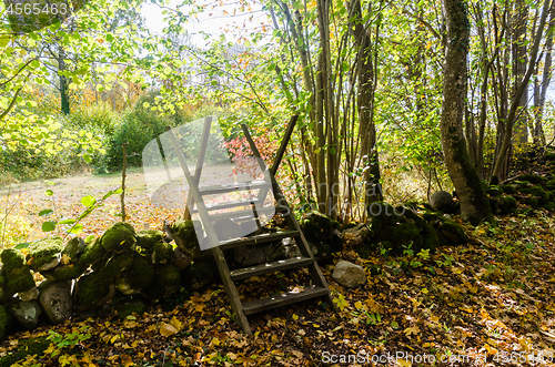 Image of Wooden stile crossing an old stone wall by a trail in fall seaso