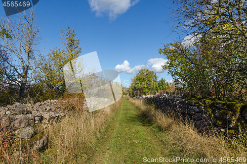 Image of Footpath surrounded with old dry stone walls
