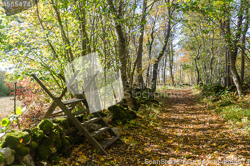 Image of Wooden stile crossing a mossy stone wall by a trail in fall seas