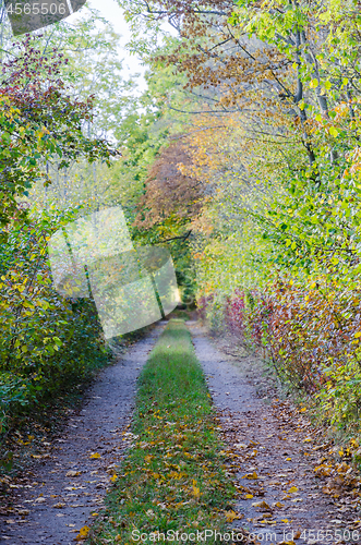 Image of Colorful country road by fall season