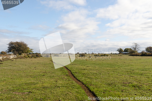 Image of Winding cowpath in a green pastureland