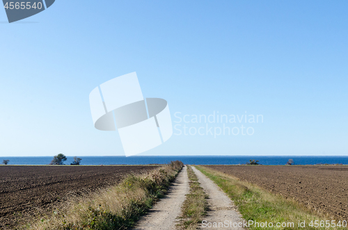 Image of Straight dirt road to the coast