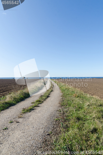 Image of Country road to the coast