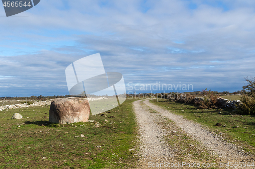 Image of Dirt road i a great plain grassland