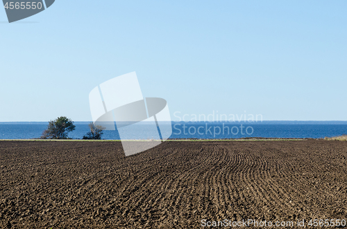 Image of Straight ploughed rows in a field by the coast