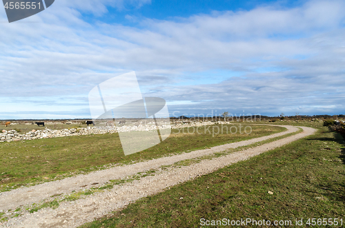 Image of Winding country road in a wide open plain grassland