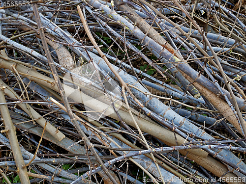 Image of Many twigs as a background