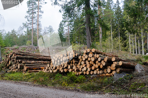 Image of Timberstacks, renewable resources by roadside