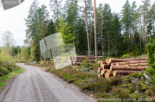 Image of Timber stacks by a country road side