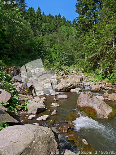 Image of Mountain river in forest in Ukrainian Carpatians