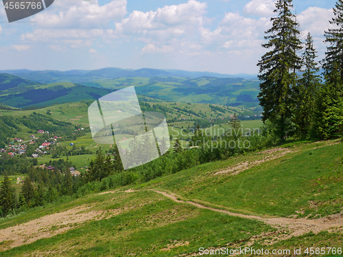 Image of Mountain trail in Ukrainian Carpathians