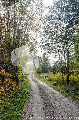 Image of Gravel road in a deciduous forest by fall season