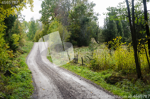 Image of Winding gravel road in a deciduous forest by fall season